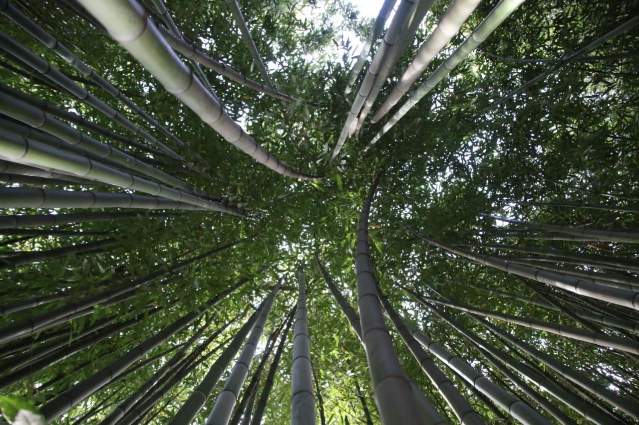 루카 Casa Gaia 게스트하우스 외부 사진
