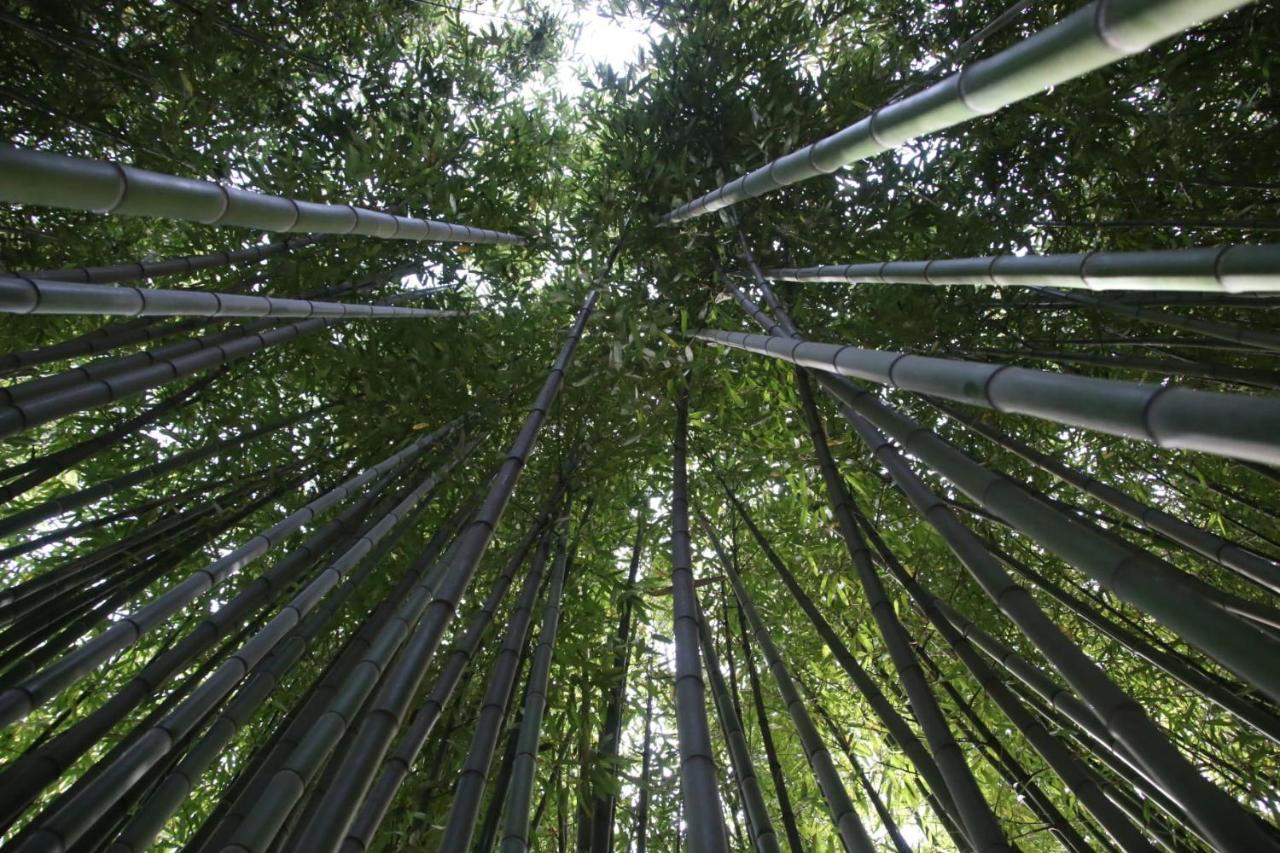 루카 Casa Gaia 게스트하우스 외부 사진